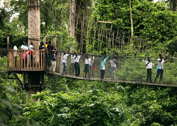 Kakum National Park Activity