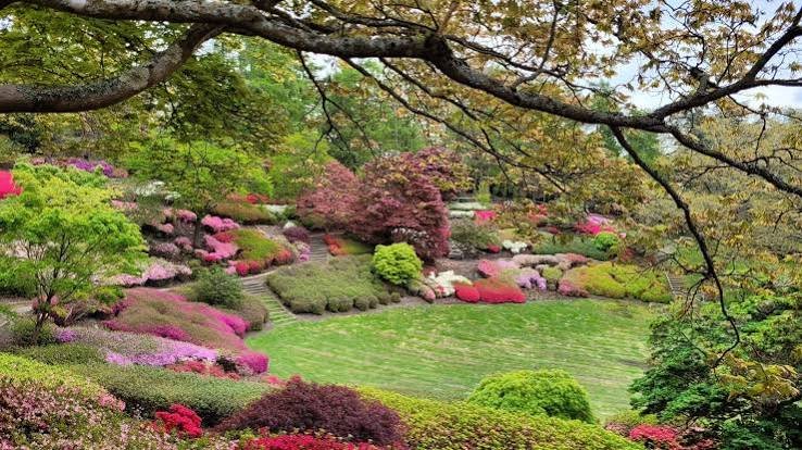 SAWABONA GARDENS