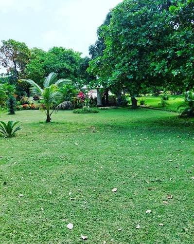 Adaagye Gardens