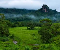 Bale Mountains National Park